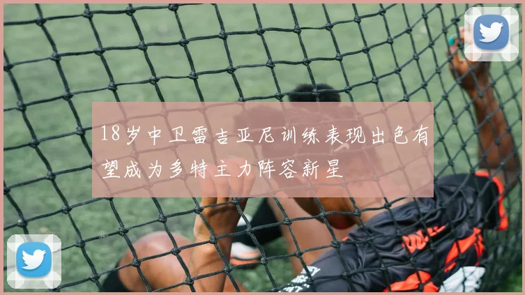 18岁中卫雷吉亚尼训练表现出色有望成为多特主力阵容新星